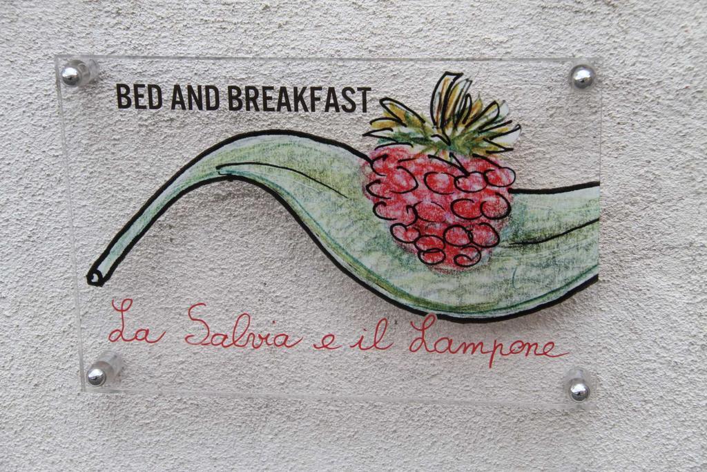 Bed and Breakfast La Salvia E Il Lampone Pove del Grappa Zewnętrze zdjęcie